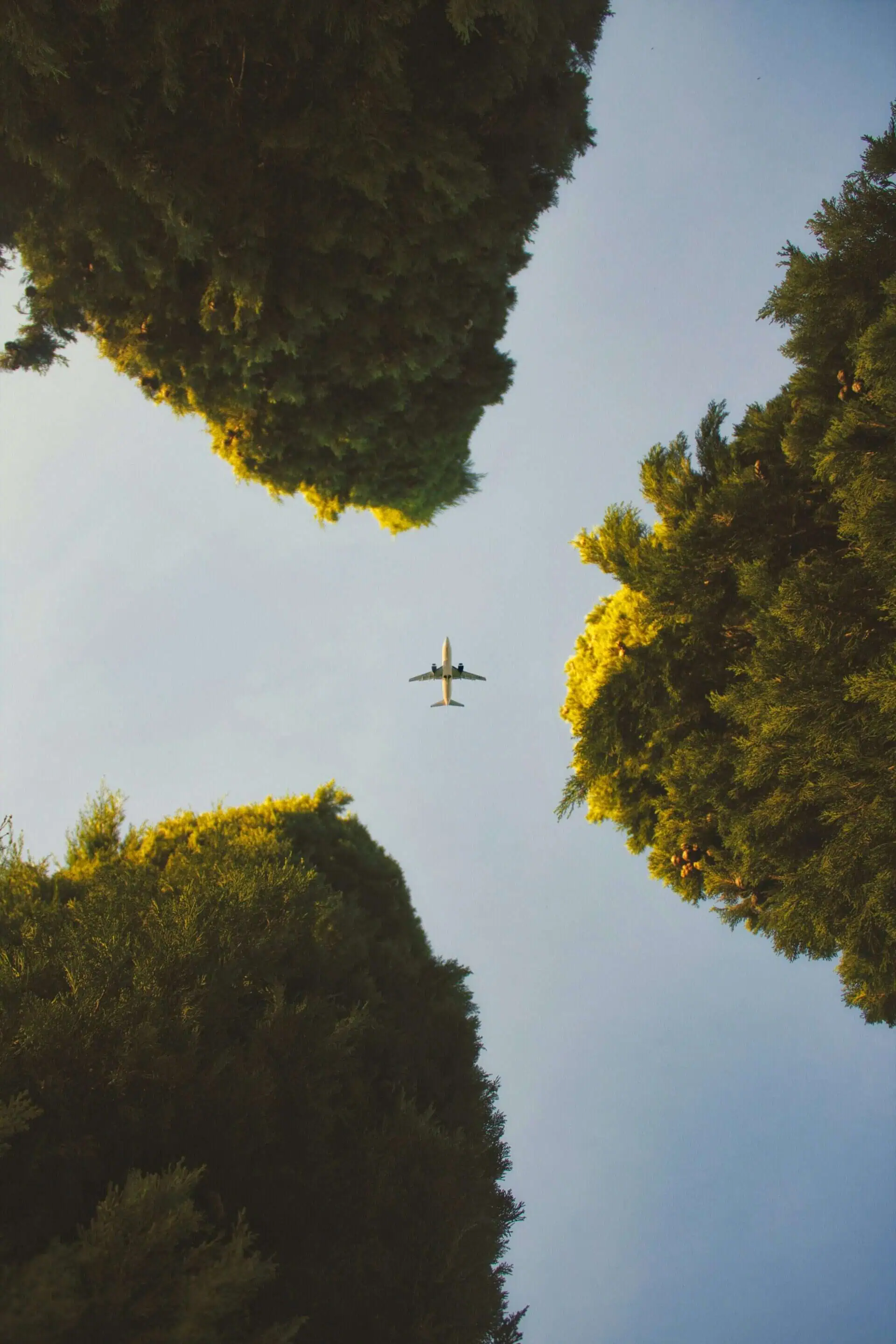 Sustainable Private Jet Travel: The Rise of Green Aviation