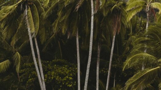 Can Luxury Travel Be Sustainable? 7 Eco-Elite Destinations for 2025