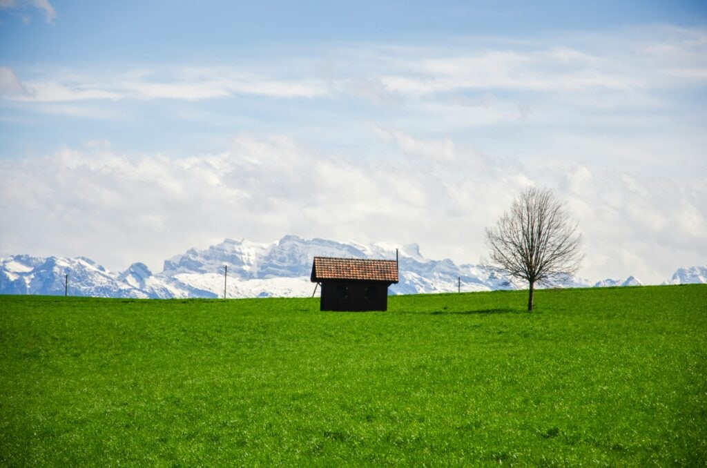Zurich to Swiss Alps day trip mountain train journey with scenic Swiss countryside and peaks