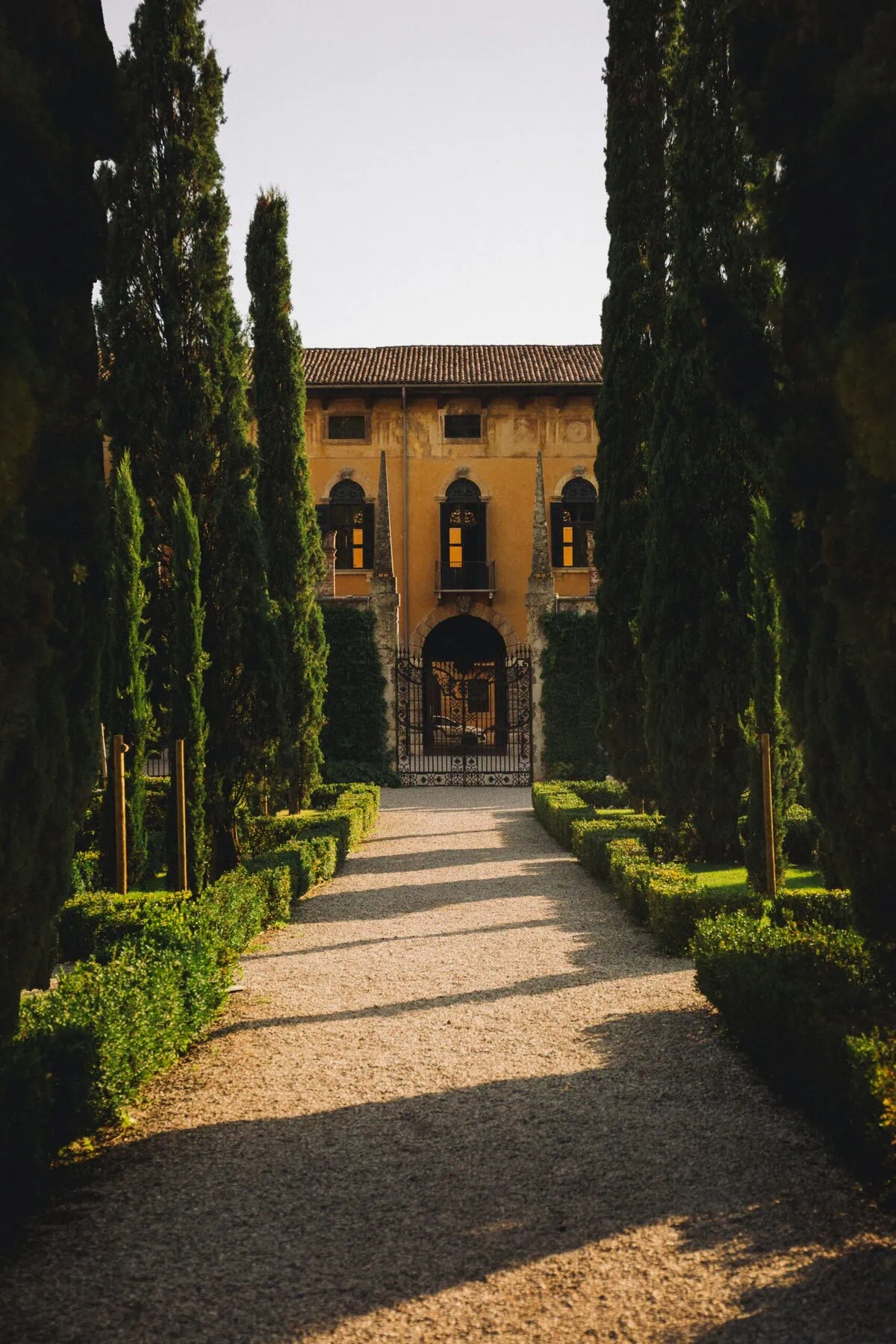 Verona Italy Valpolicella wine region vineyards Amarone wine tours Italian countryside